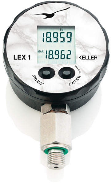 LEX1: manómetro  patrón
